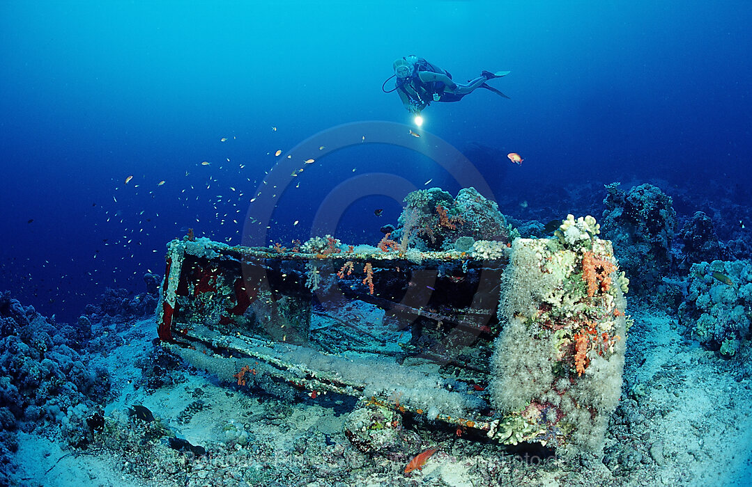 Haikfig von Jacque Cousteau und Taucher, Afrika, Rotes Meer, Shaab Rhumi, Sudan