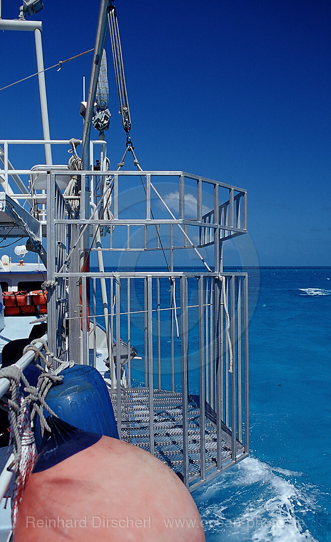 Shark cage, Atlantic Ocean, Bahamas