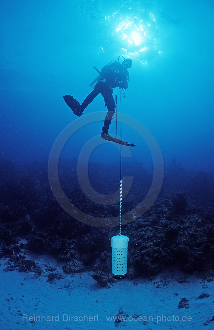 Scuba diver with shark bait