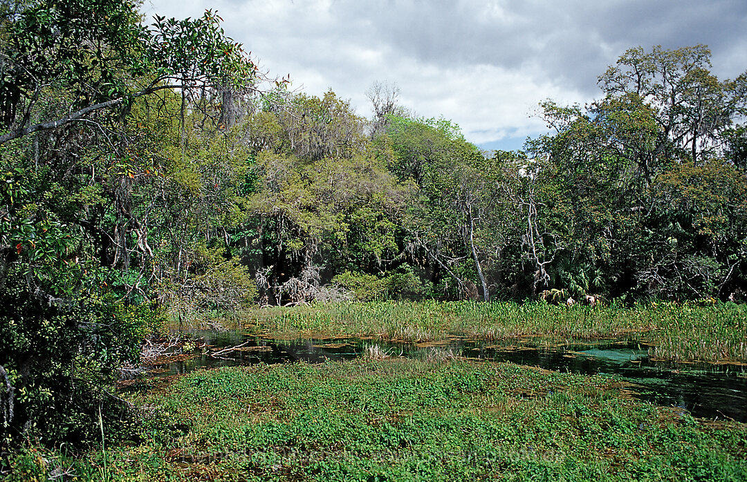 Rainbow River Headspring, Florida, FL, USA