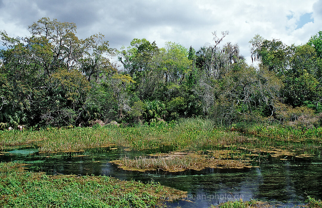 Rainbow River Quelle, Florida, FL, USA