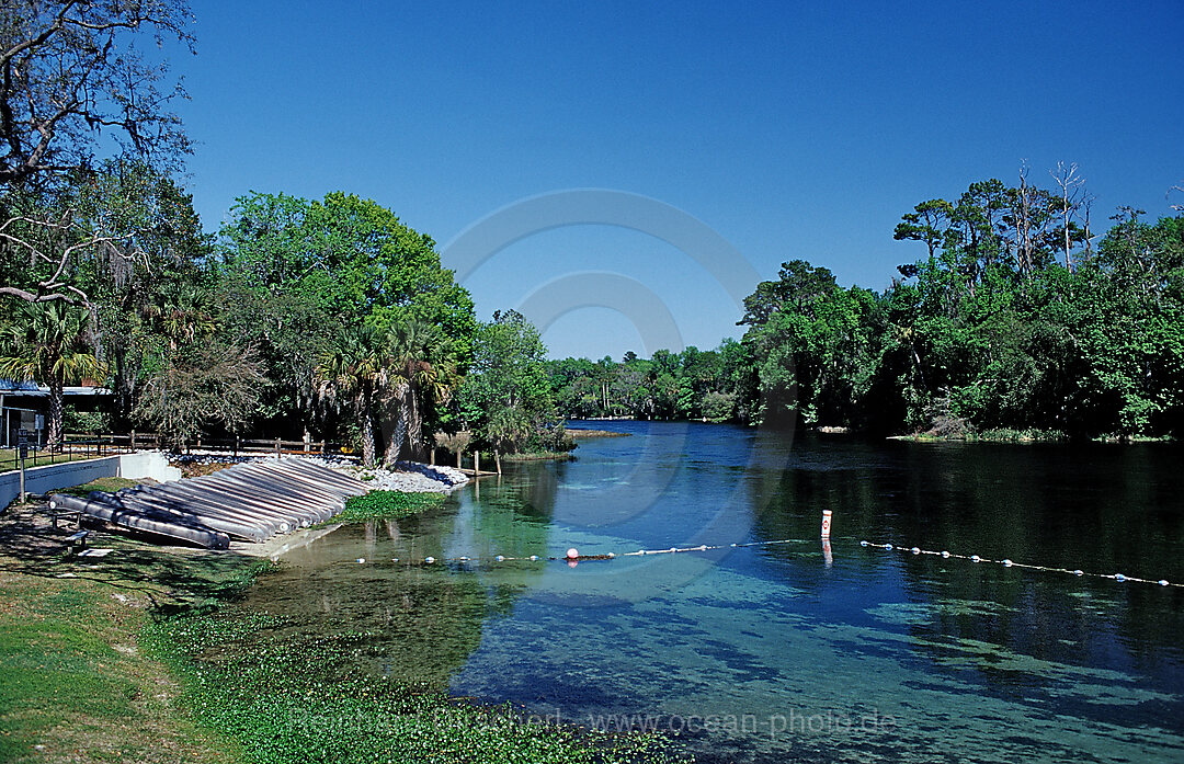 Rainbow River, Florida, FL, USA