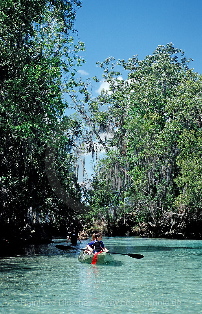 Paddelboot im Three Sisters Manatee Schutzgebiet
