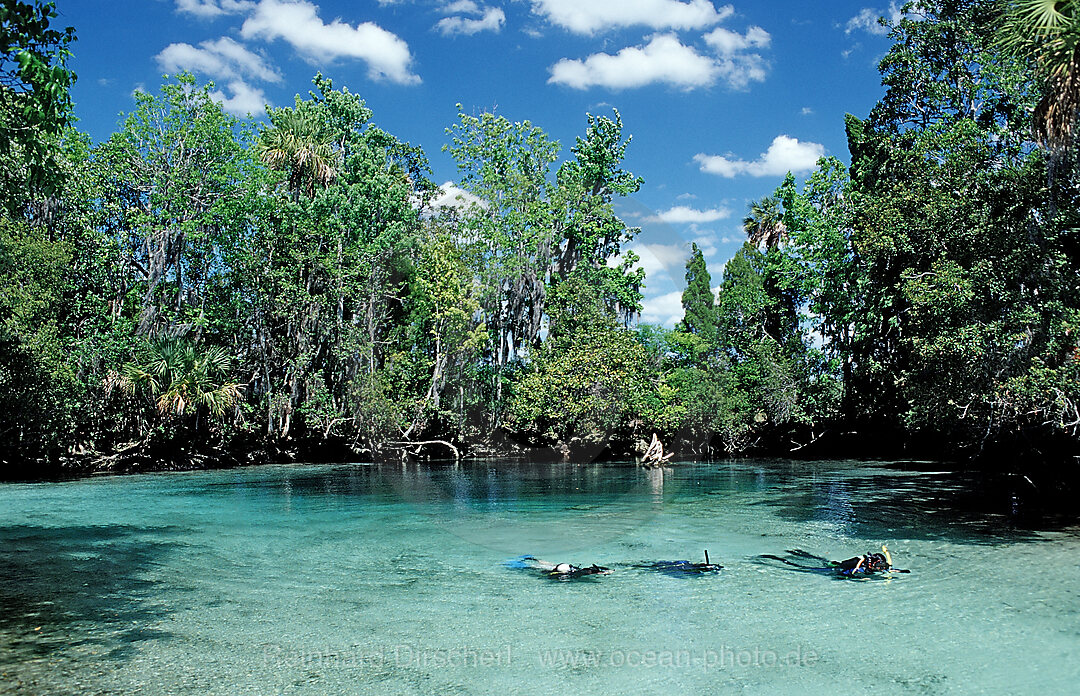 Three Sisters Manatee Schutzgebiet