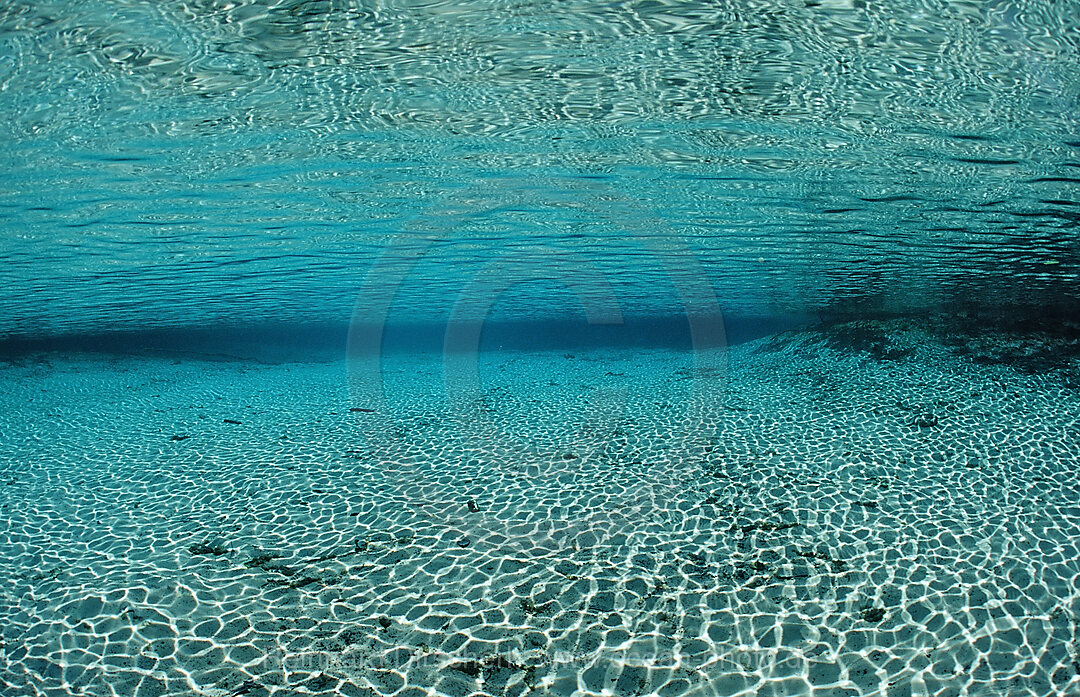 Water reflection