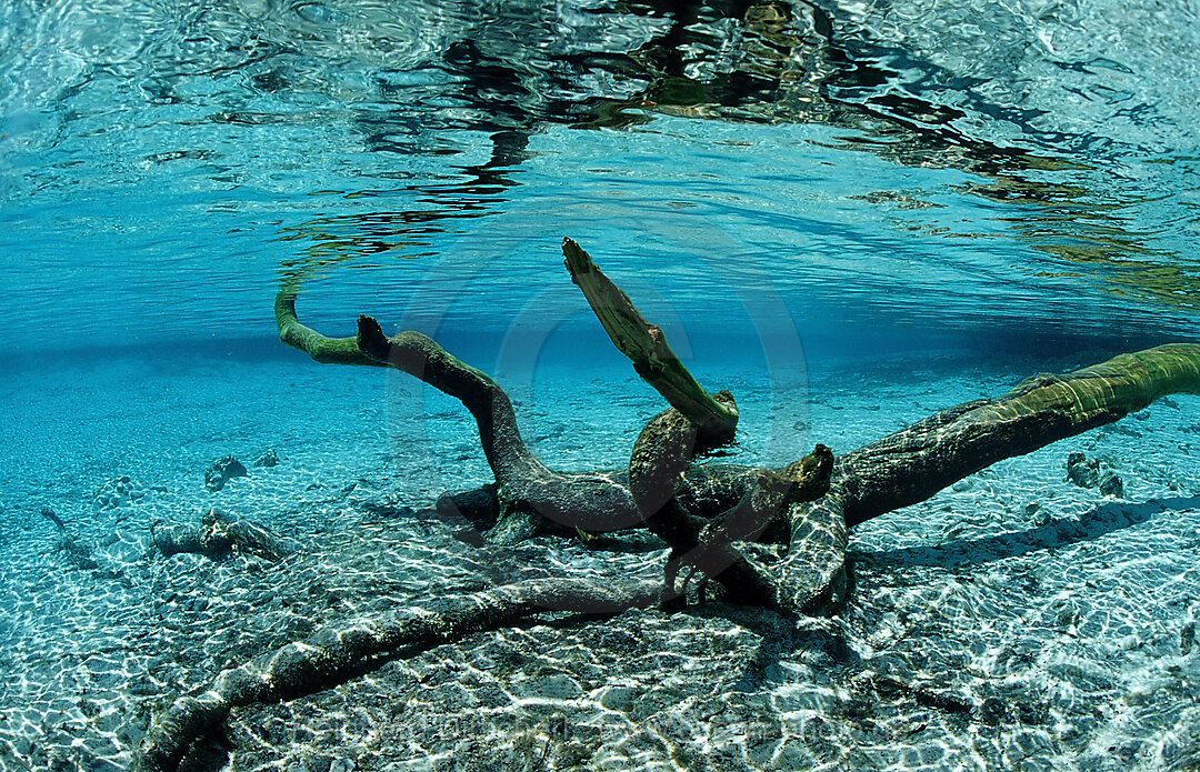 Water reflection