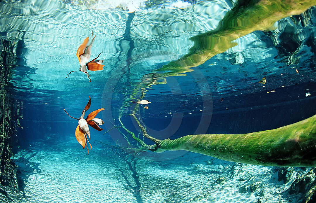 Water reflection