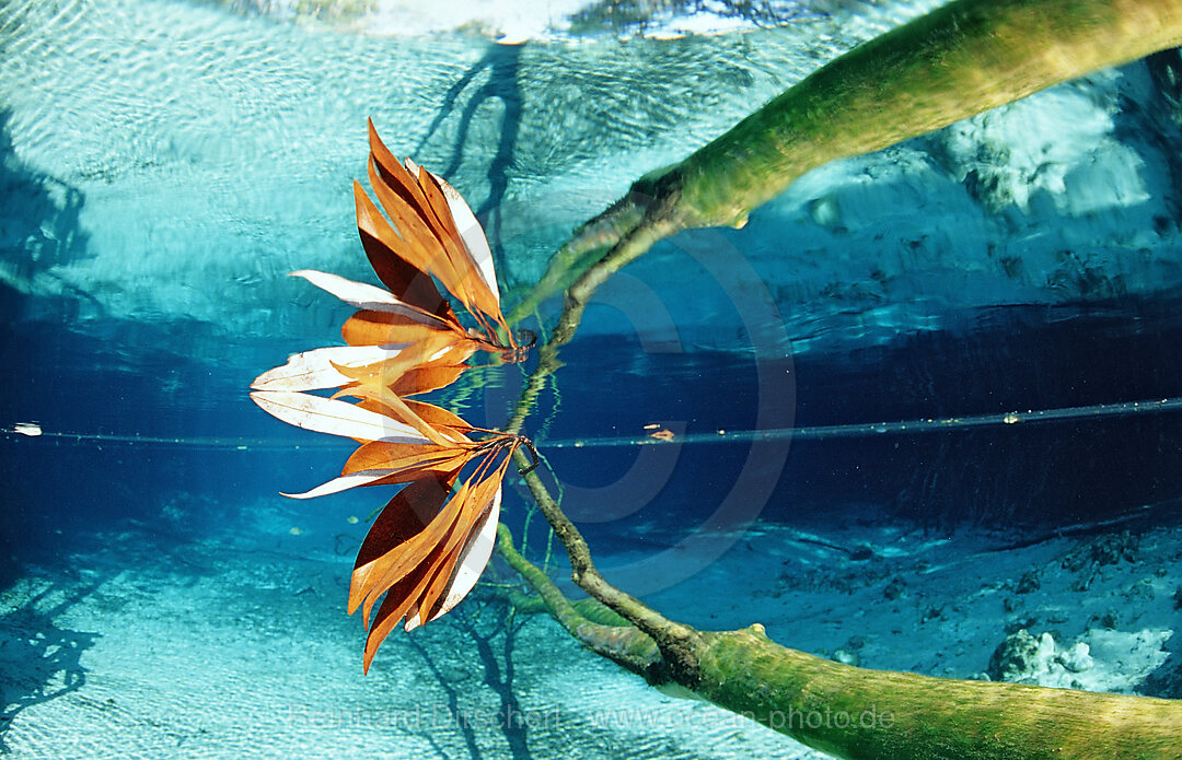 Wasserspiegelung