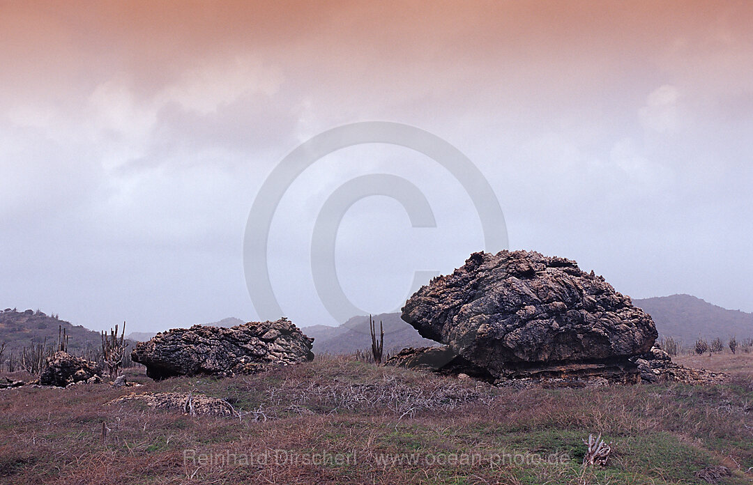 Desert landscape