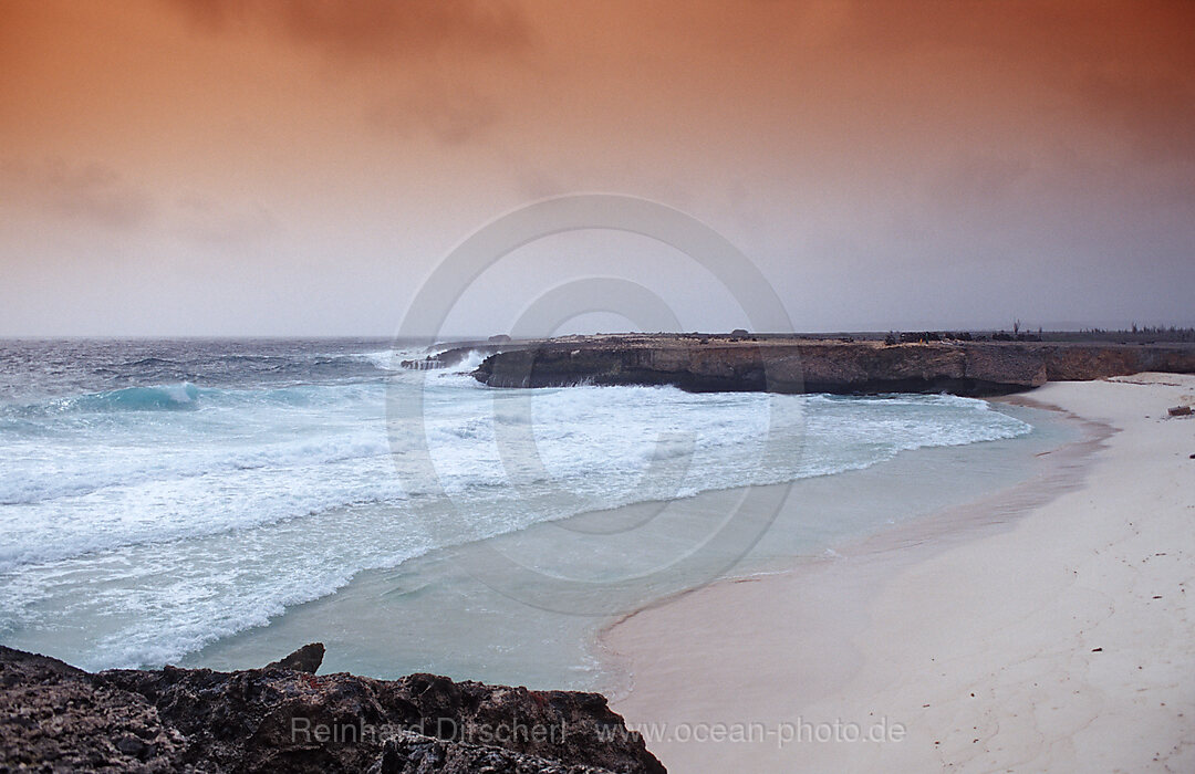 Storm on the coast