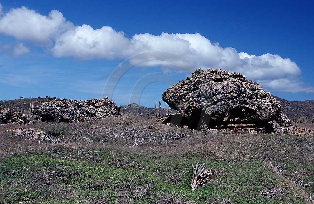 Desert landscape