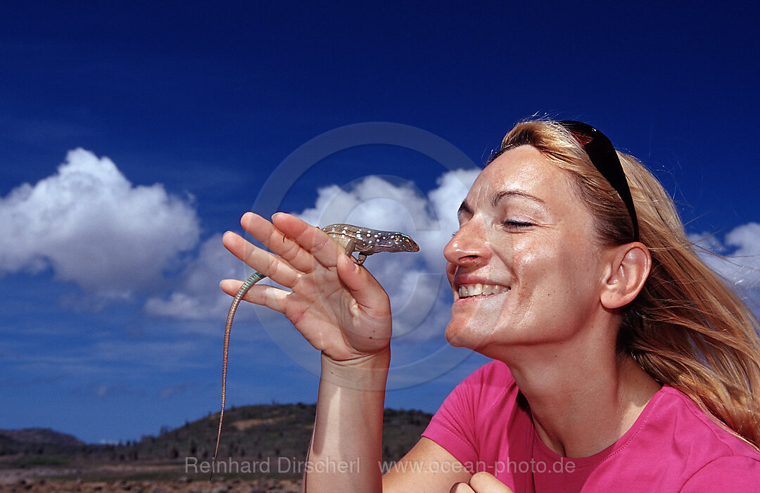 Tourist and Blue whiptail lizard