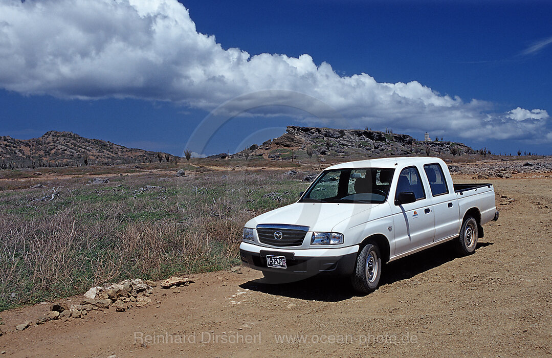 Rental car in the Washington Slagbaai National Park