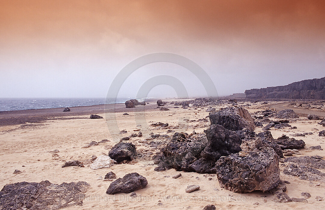 Wuestenlandschaft, Bonaire, Washington Slagbaai Nationalpark, Suplad, Niederlaendische Antillen, Bonaire