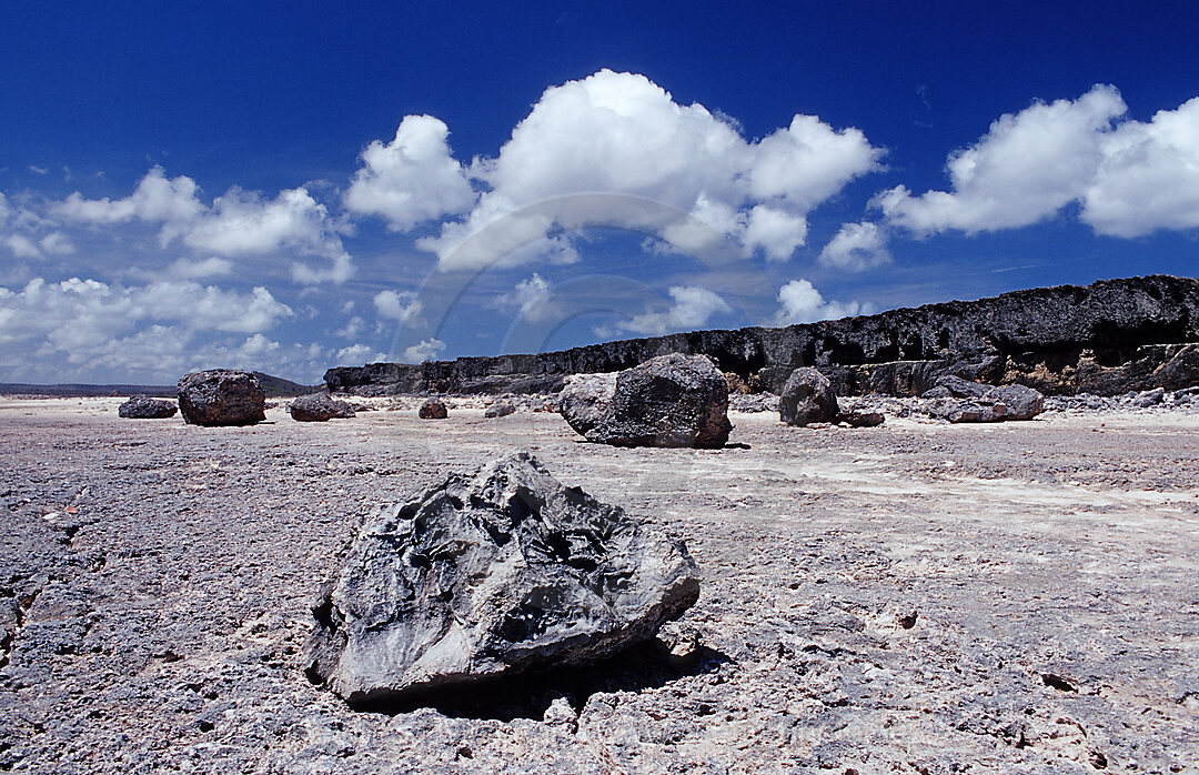 Wuestenlandschaft, Bonaire, Washington Slagbaai Nationalpark, Suplad, Niederlaendische Antillen, Bonaire