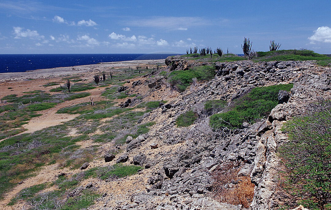 Wuestenlandschaft am Meer, Bonaire, Washington Slagbaai Nationalpark, Niederlaendische Antillen, Bonaire