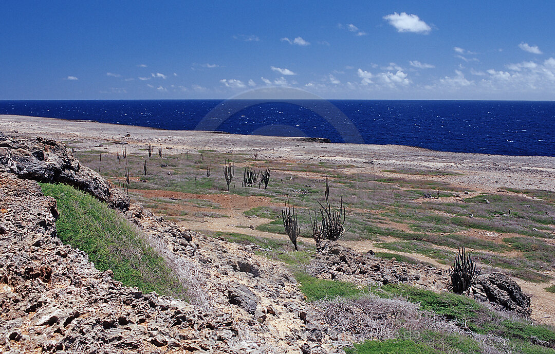 Wuestenlandschaft am Meer