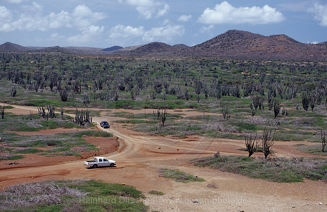 Wuestenlandschaft, Bonaire, Washington Slagbaai Nationalpark, Niederlaendische Antillen, Bonaire