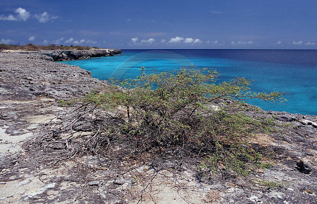 Kueste von Bonaire, Karibik, Karibisches Meer, Washington Slagbaai Nationalpark, Wayak, Niederlaendische Antillen, Bonaire