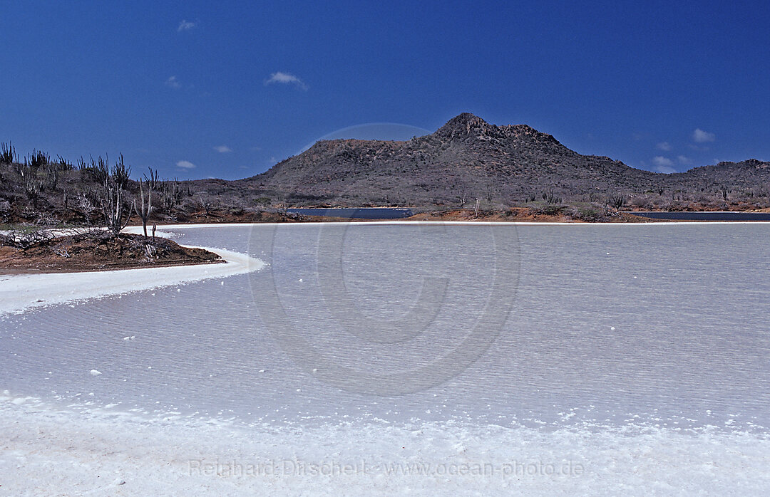Salzsee Salina Slagbaai