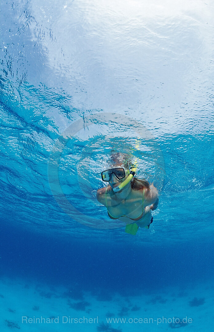 Schnorcheln, Karibik, Karibisches Meer, Niederlaendische Antillen, Bonaire