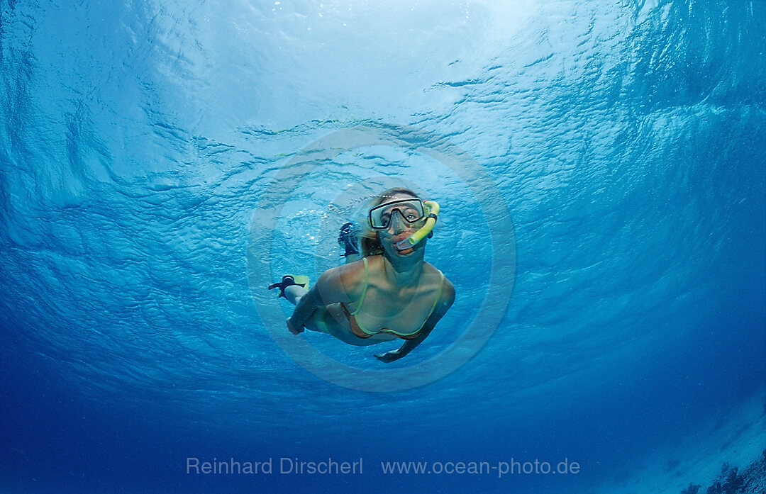 Schnorcheln, Karibik, Karibisches Meer, Niederlaendische Antillen, Bonaire