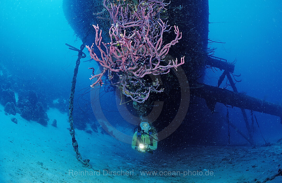 Taucher am Hilma Hooker Schiffswrack