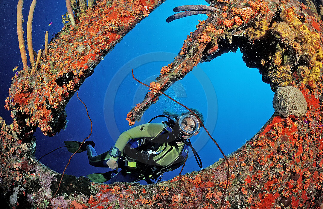 Taucher am Hilma Hooker Schiffswrack, Karibik, Karibisches Meer, Niederlaendische Antillen, Bonaire