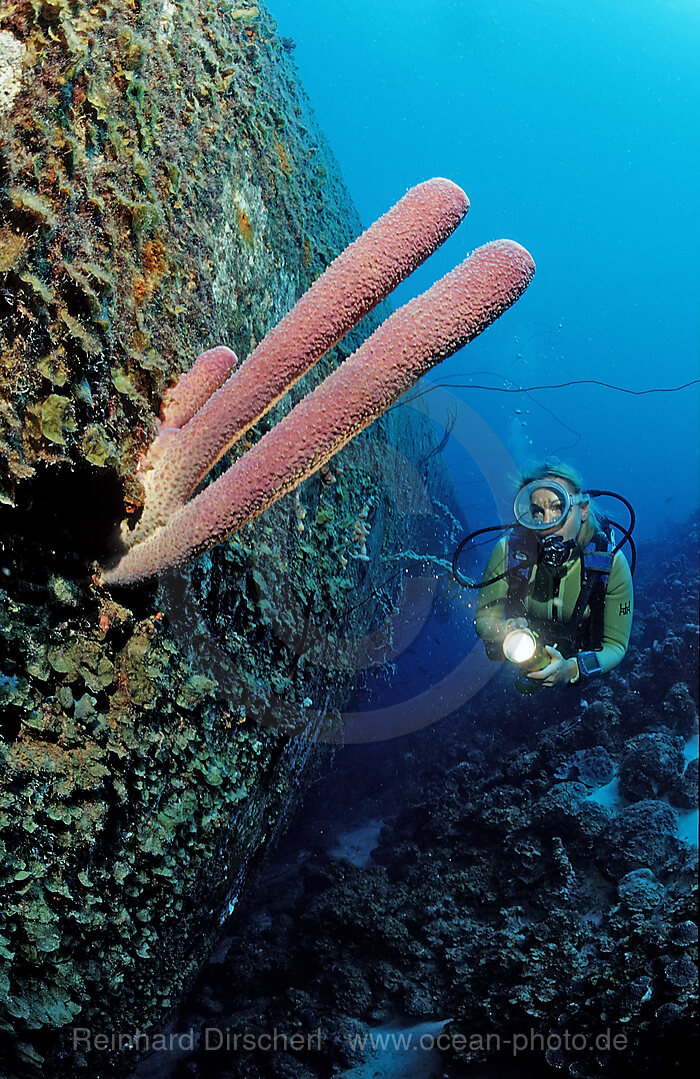 Taucher am Hilma Hooker Schiffswrack