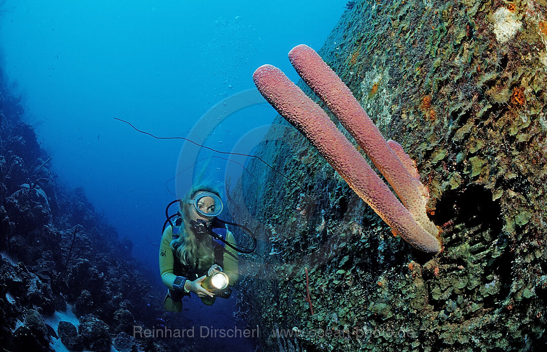 Taucher am Hilma Hooker Schiffswrack, Karibik, Karibisches Meer, Niederlaendische Antillen, Bonaire