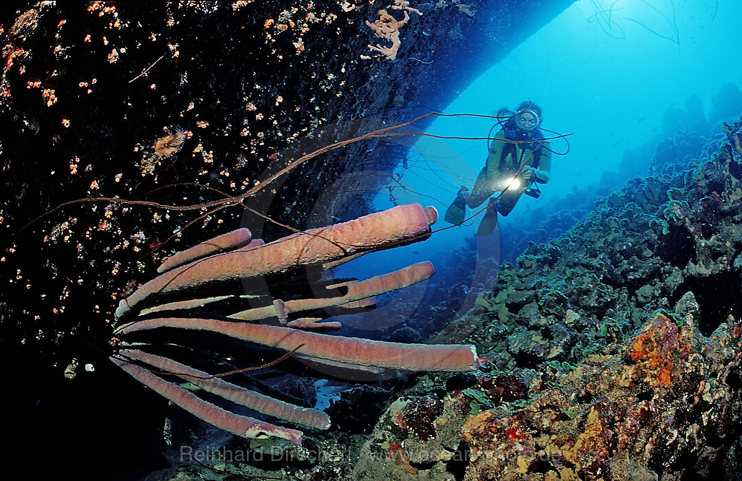 Scuba diver on the Hilma Hooker Ship Wreck