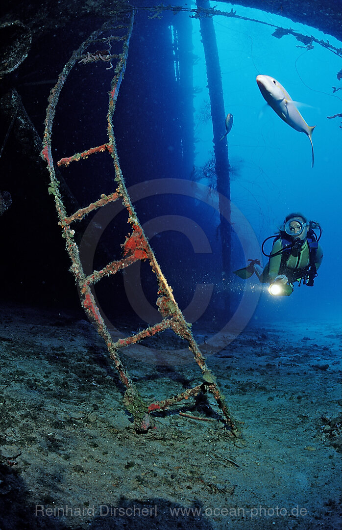 Taucher am Hilma Hooker Schiffswrack, Karibik, Karibisches Meer, Niederlaendische Antillen, Bonaire