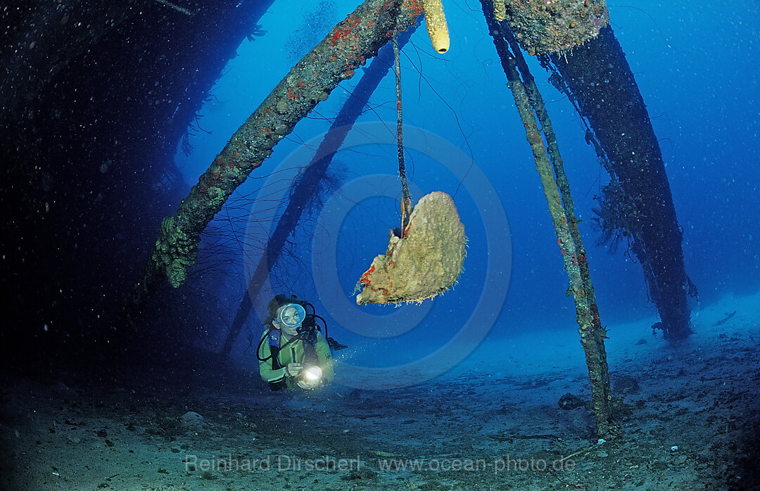 Taucher am Hilma Hooker Schiffswrack, Karibik, Karibisches Meer, Niederlaendische Antillen, Bonaire