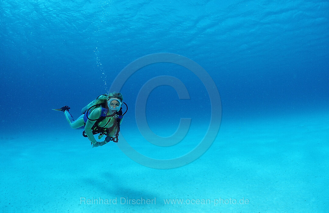 Taucher ueber Sandgrund, Karibik, Karibisches Meer, Niederlaendische Antillen, Bonaire