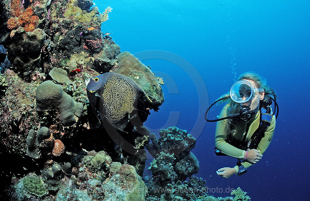 Scuba diver and coral reef