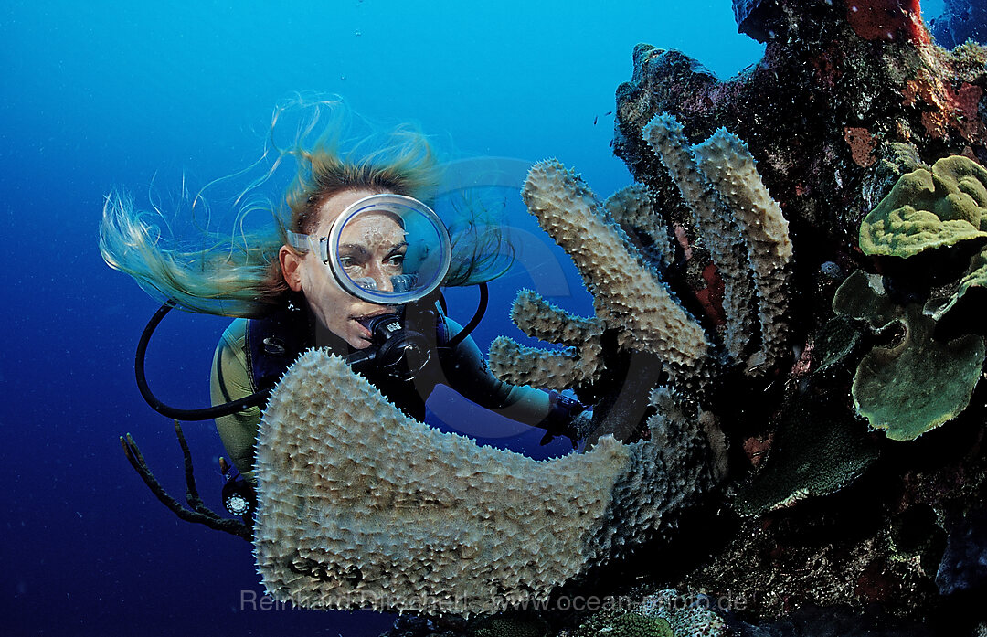 Scuba diver and coral reef