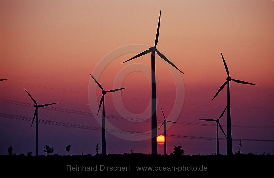 Wind farm