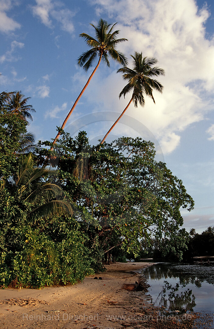 Insel bei Kavieng