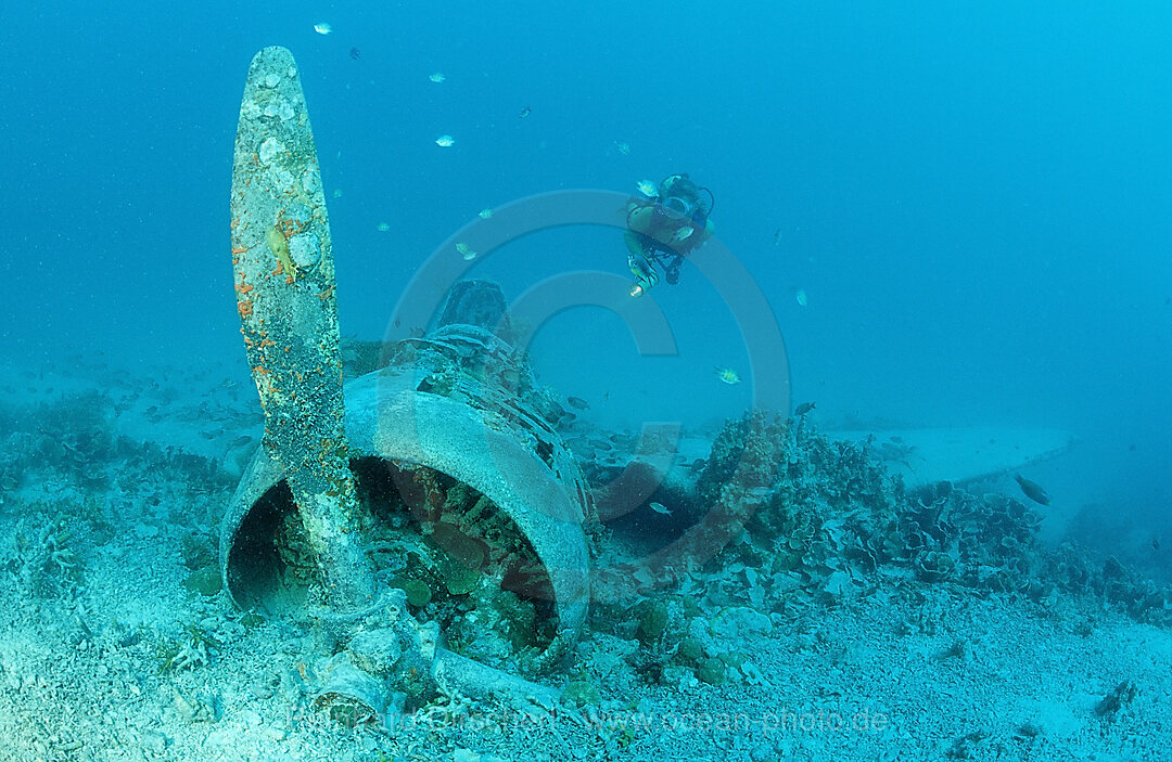 Nakajima B5N2 Kate Torpedo Bomber and Scuba diver
