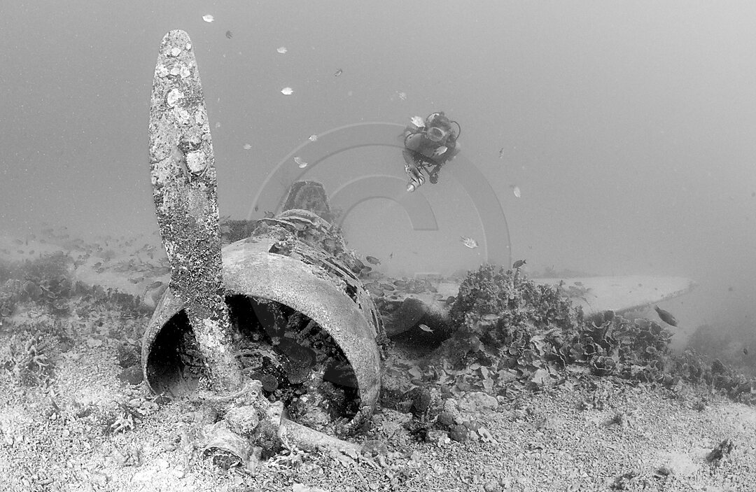 Nakajima B5N2 Kate Torpedo Bomber and Scuba diver