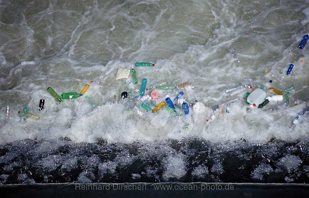 Garbage in river Tiber
