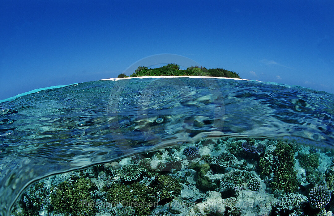 Korallenriff vor unbewohnter Insel, Indischer Ozean, Meemu Atoll, Malediven