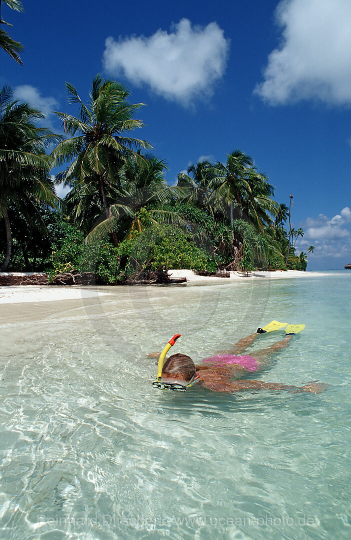 Schnorchlen vor Palmenstrand, Indischer Ozean, Medhufushi, Meemu Atoll, Malediven