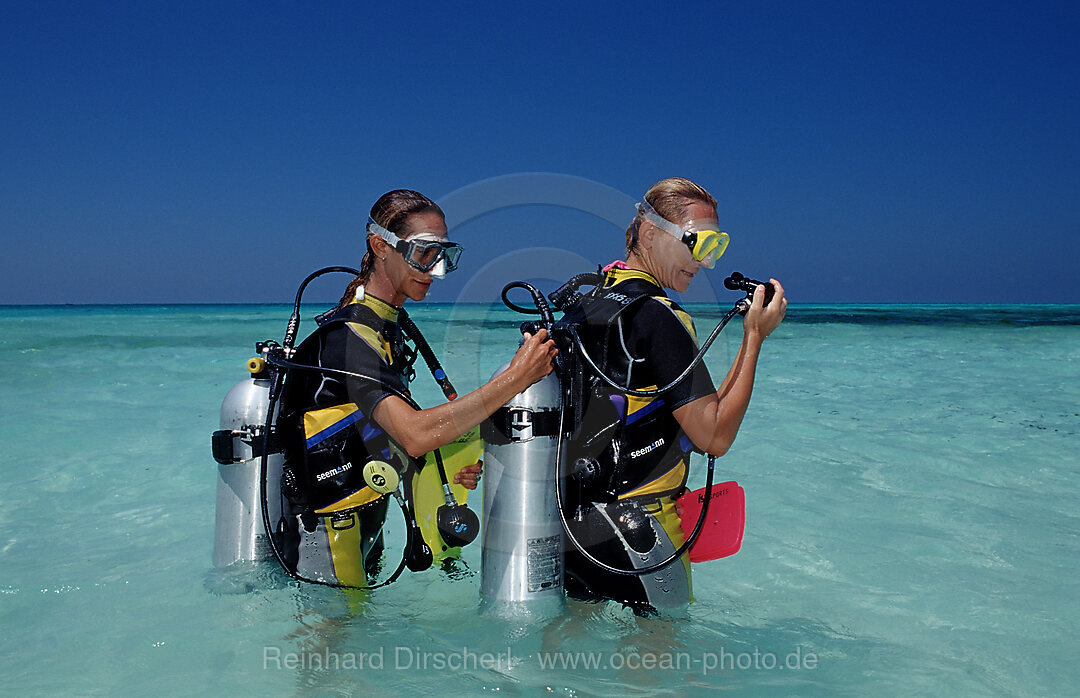 Diving Course, Instructor and Student