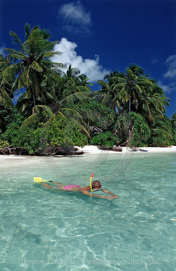Palmenstrand und Schnorchlerin