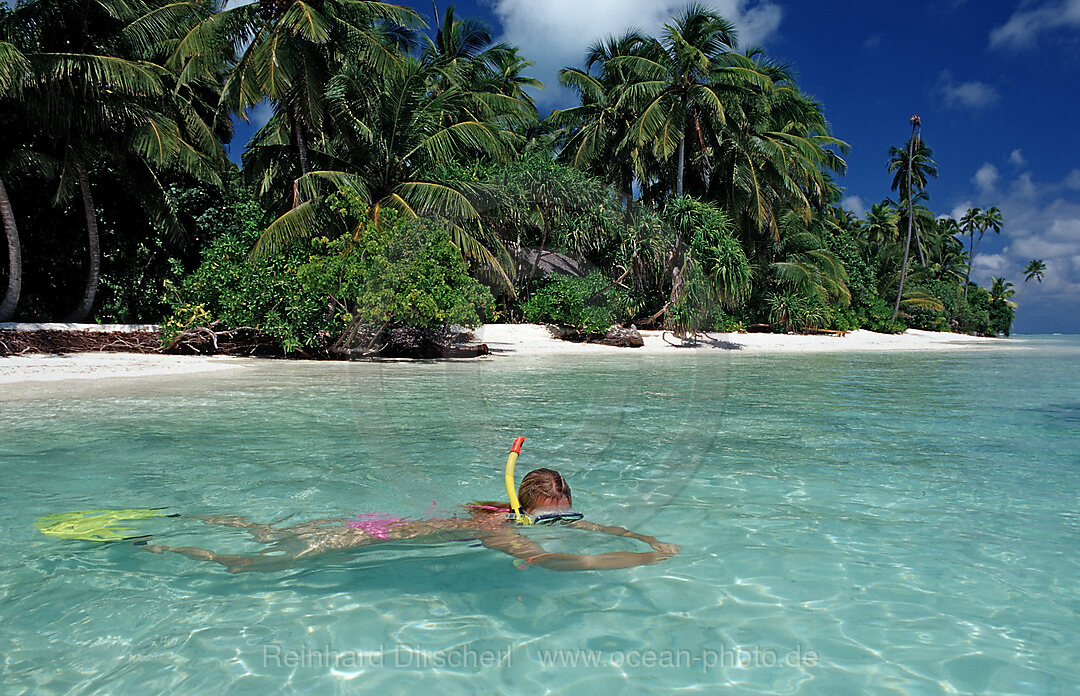 Palmenstrand und Schnorchlerin, Indischer Ozean, Medhufushi, Meemu Atoll, Malediven