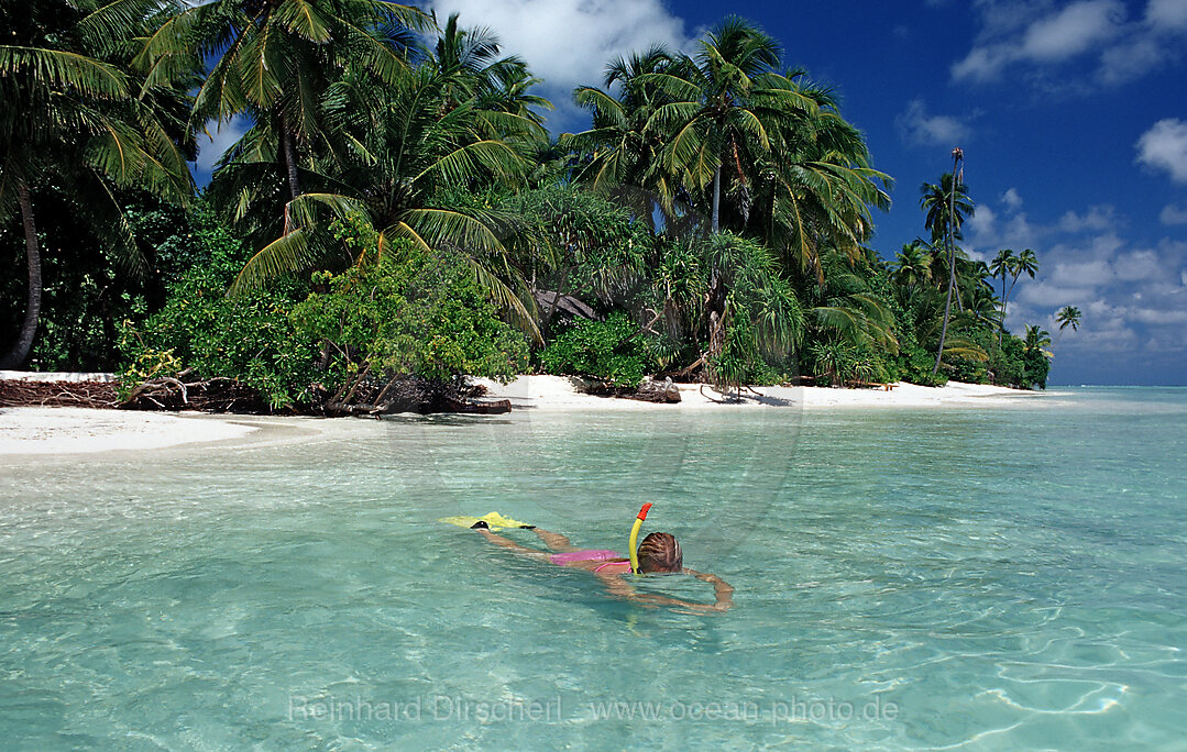 palm-lined Beach and Skin Diver