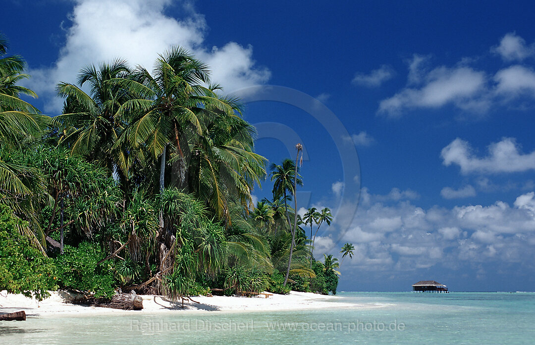 Traumstrand auf den Malediven, Indischer Ozean, Medhufushi, Meemu Atoll, Malediven