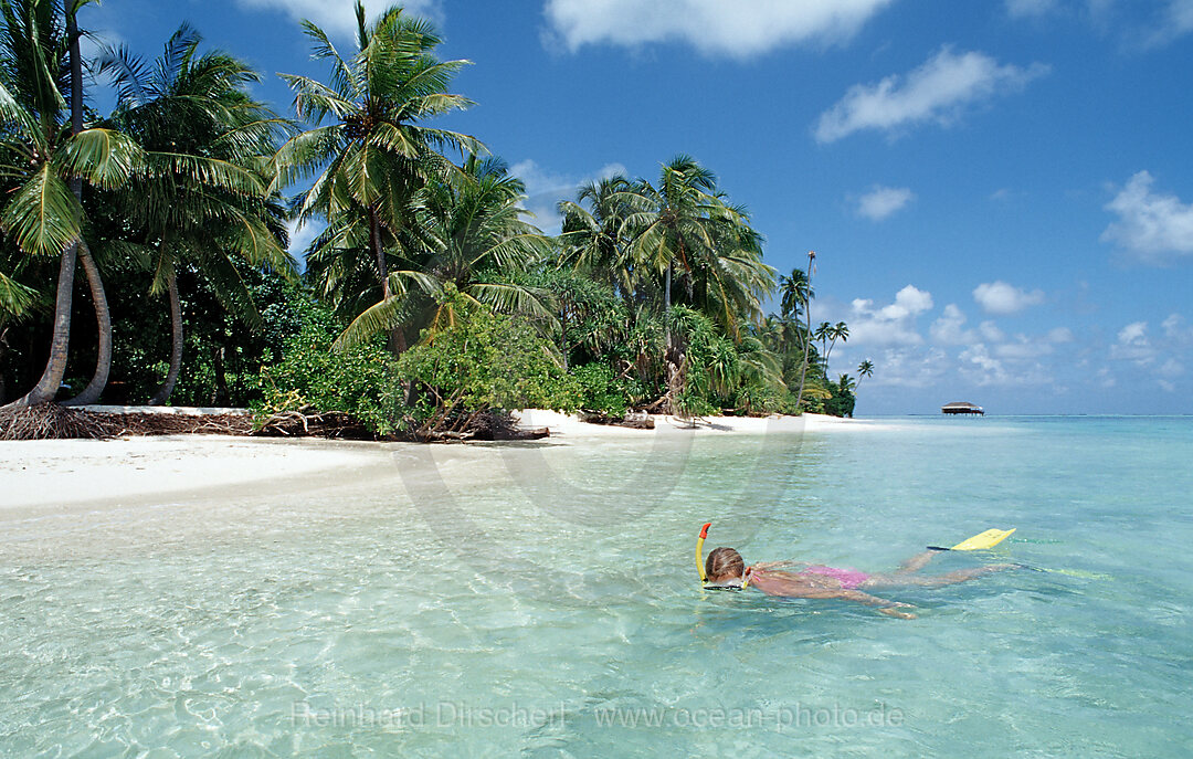 Snorkeling at palm-lined Beach