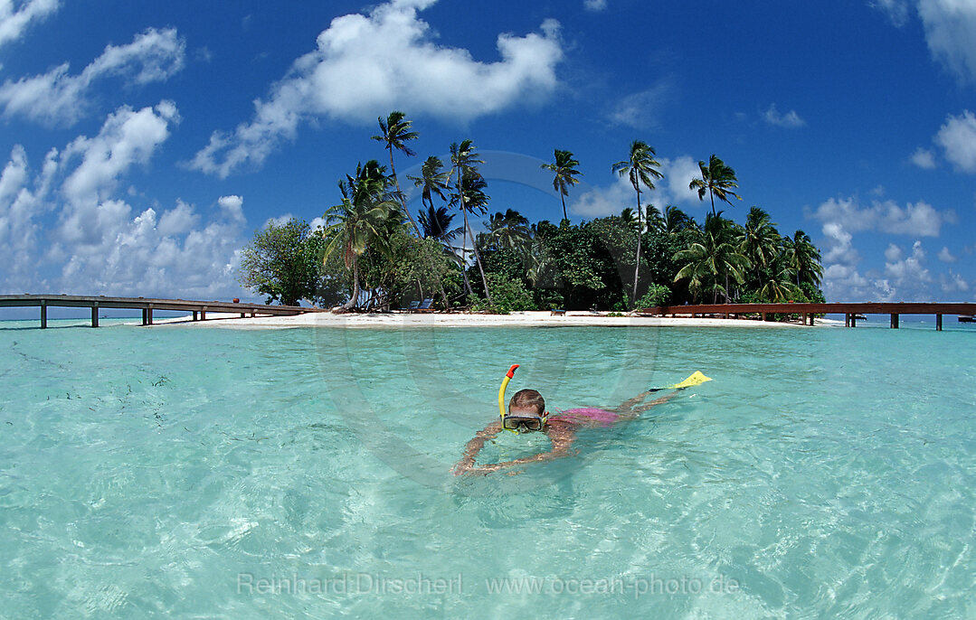 Schnorcheln vor Palmeninsel, Indischer Ozean, Medhufushi, Meemu Atoll, Malediven